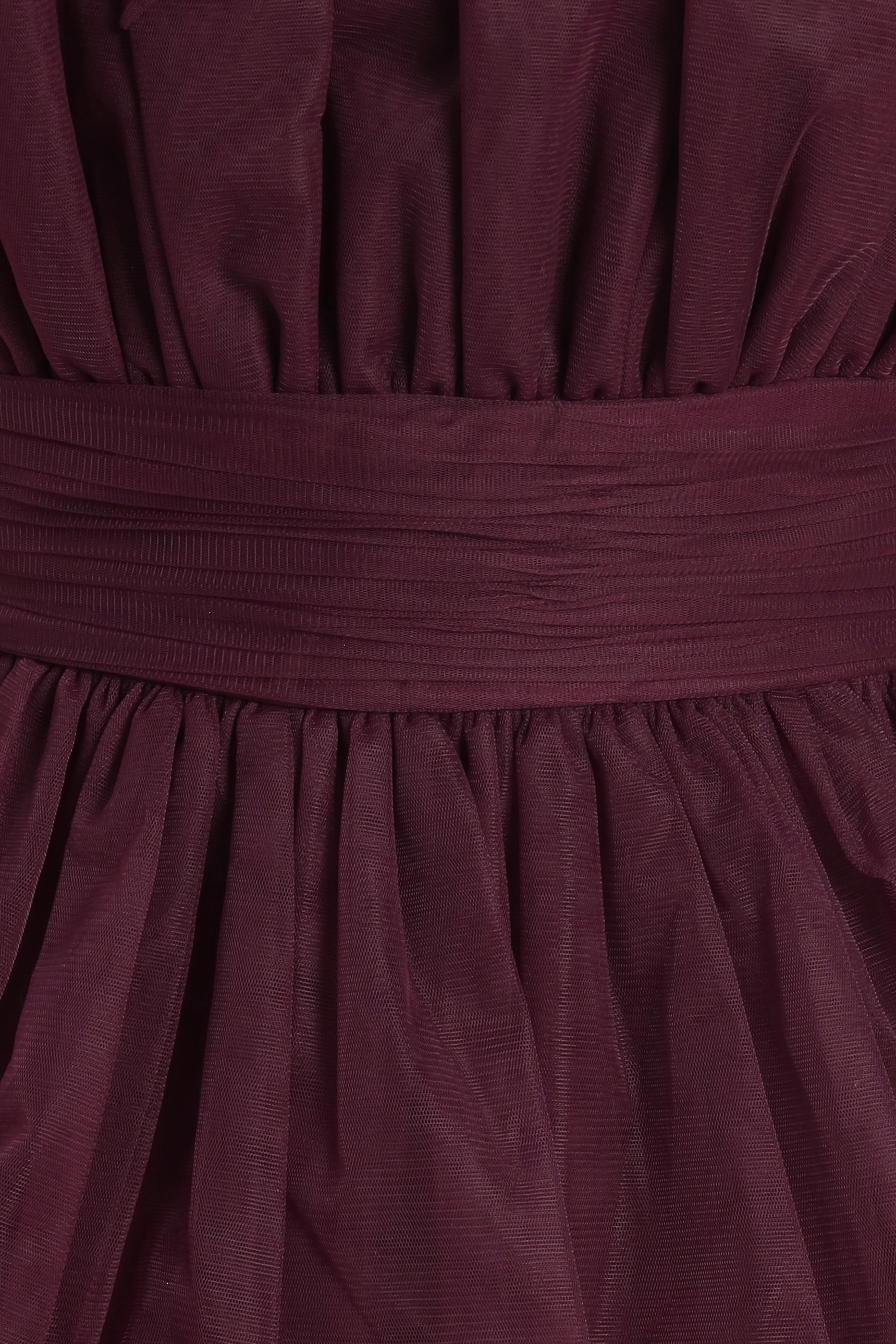 Natalia Tulle Maxi Dress in Plum